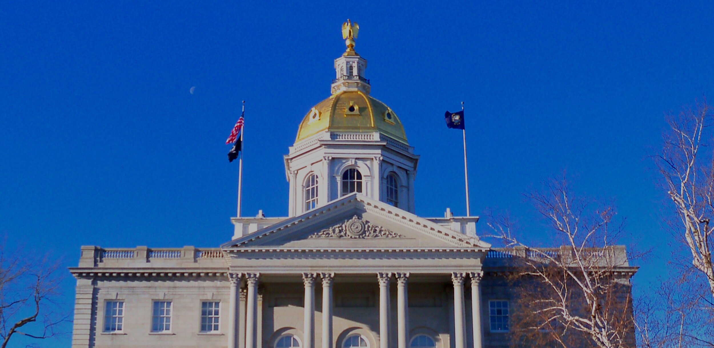   A Seat at the Table    Annie is proud to endorse a slate of candidates running in New Hampshire’s Second District    Learn More  