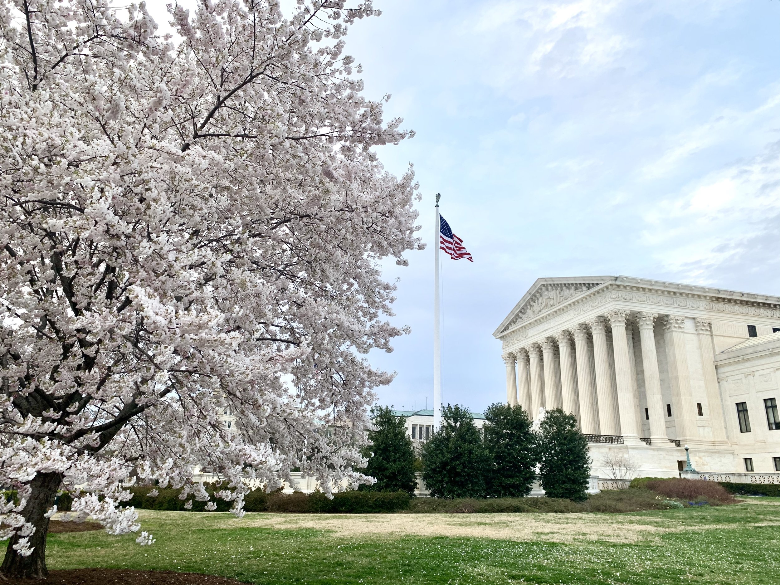 AP: New Hampshire officials mourn death of Justice Ginsburg