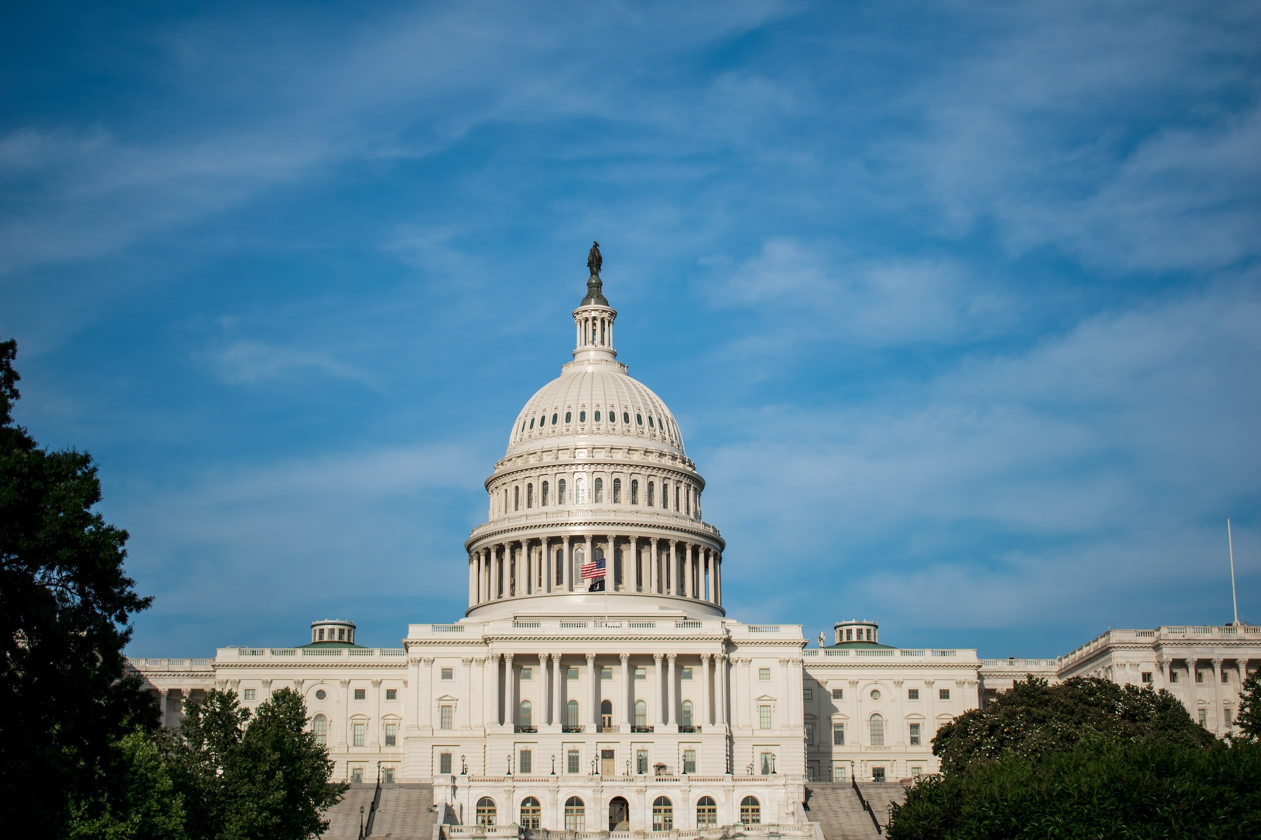 PROTECTING OUR DEMOCRACY