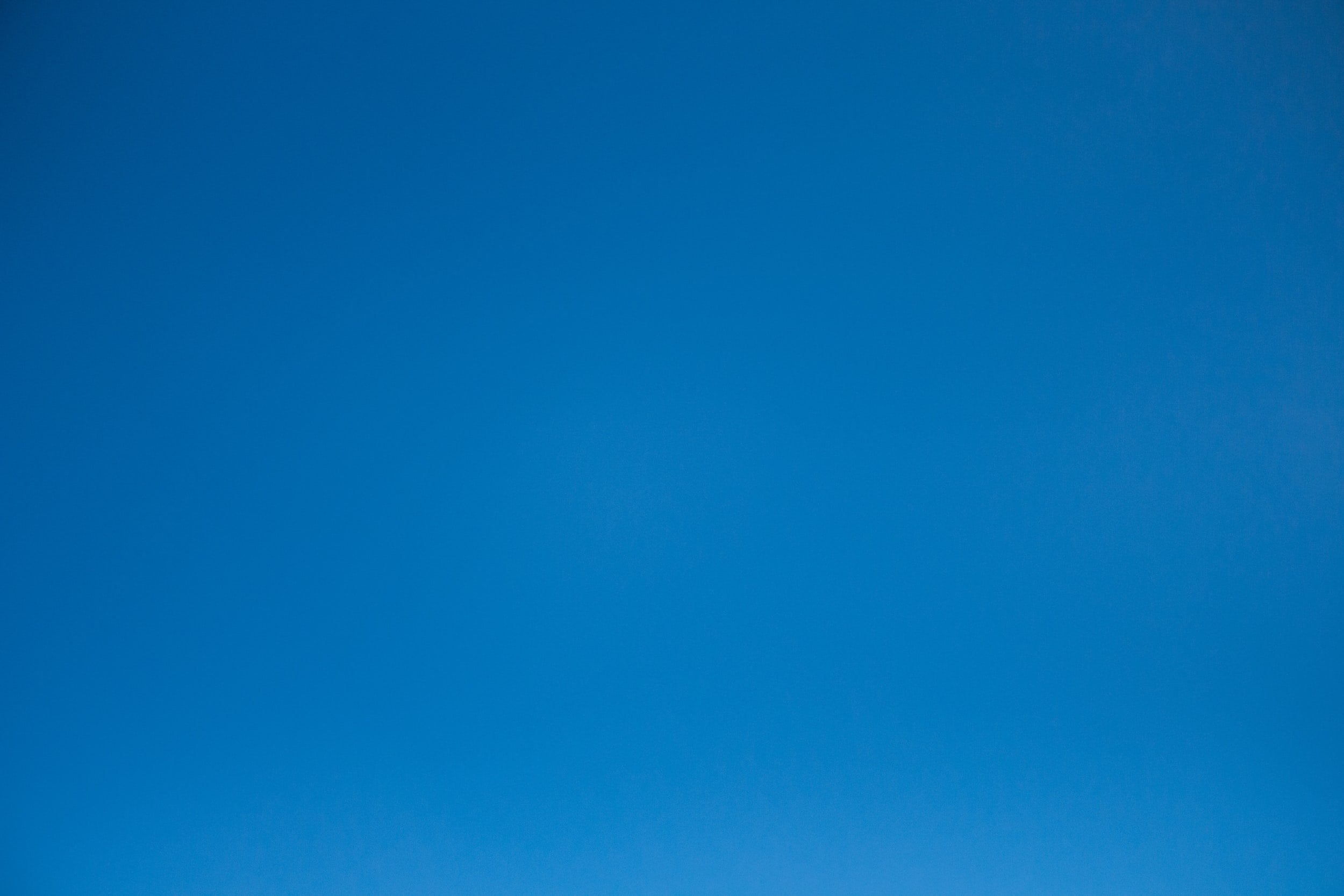 Kuster Statement on White House Primary Proposal