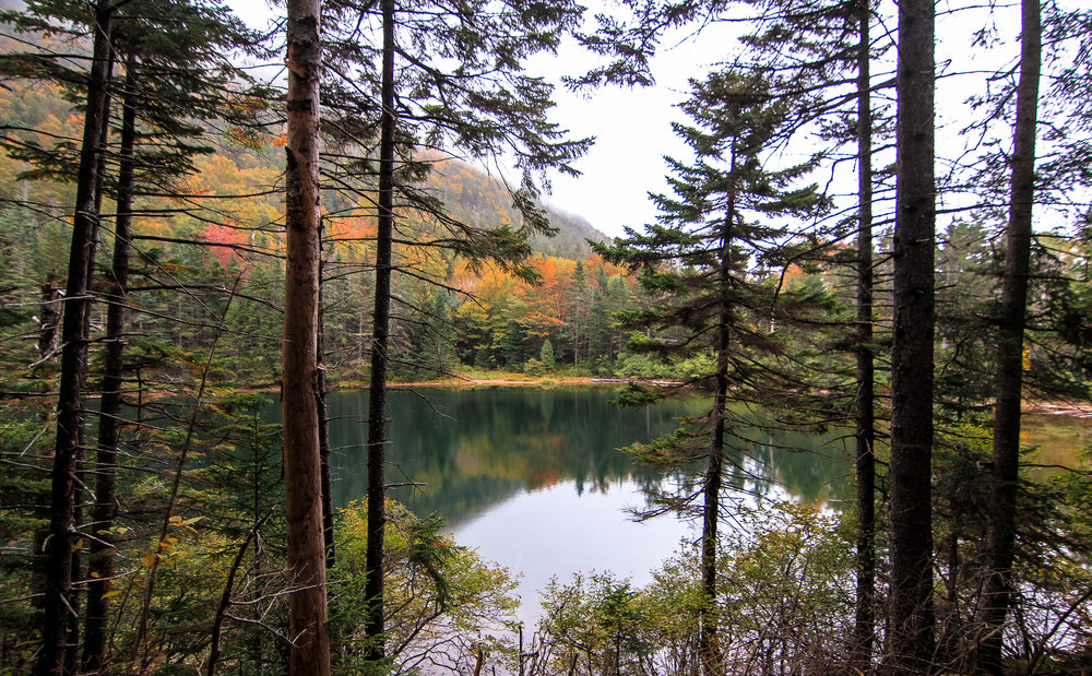 Sentinel Source: AFL-CIO endorses Democrats across the region, state